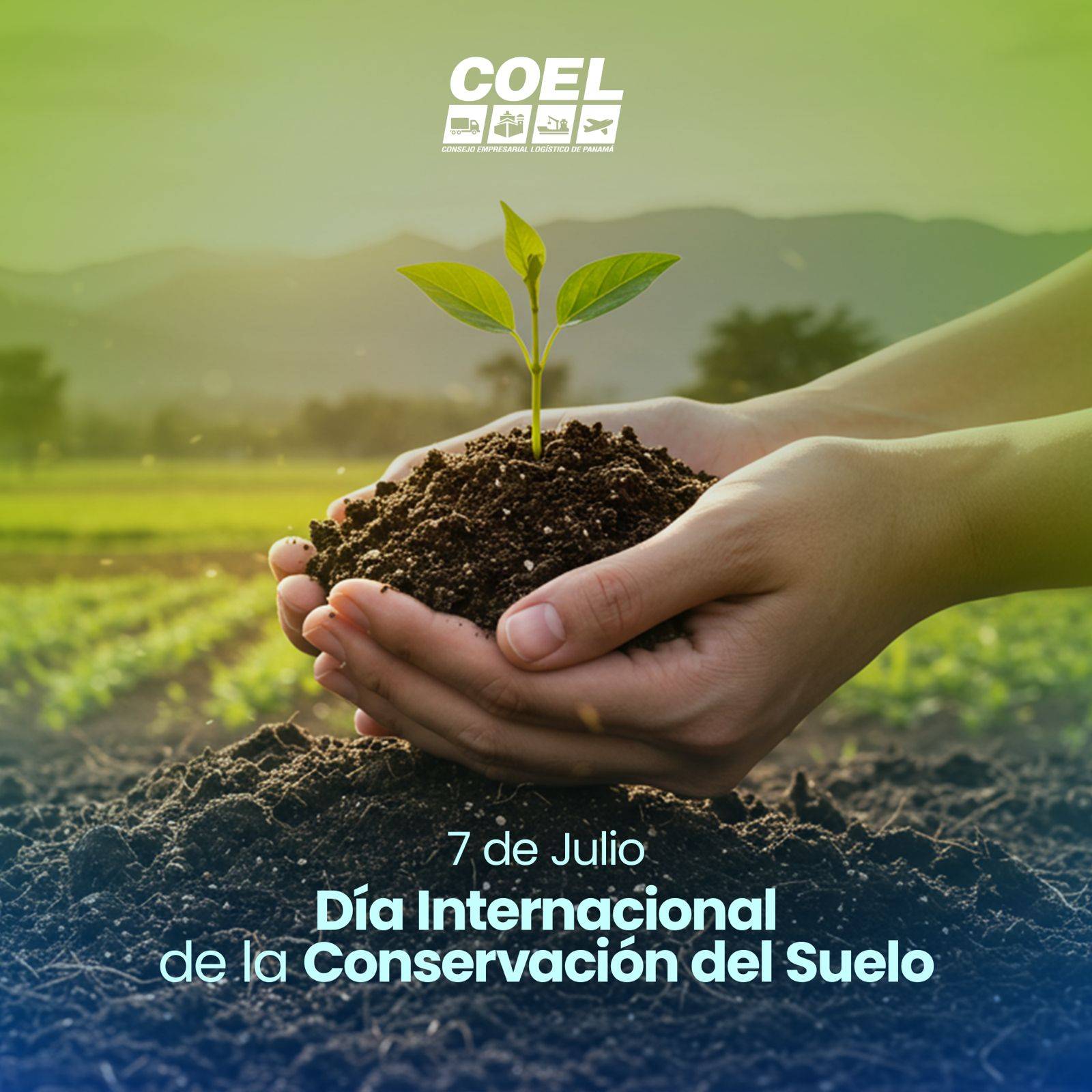 imagen-p